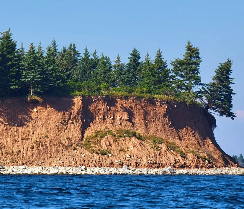 Nova Scotia Museum on Twitter "RT ArchInAcadie Archaeology Job