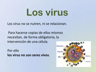 elzorrotacneno's tweet photo. Finalmente y para colaborar con la ciencia y sus contradicciones, colocaremos esta definición de virus para amargura de la Industria farmacéutica, quienes aseguran que los virus son seres vivos. https://t.co/g5CxEky1Gt