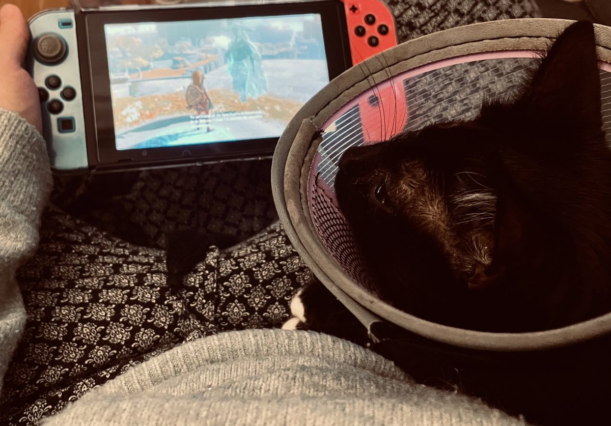 SavePoune's tweet photo. Coucou que c’est moi cap’taine Poune !
Je teste le nouveau Zelda avec Mamou qu’il est trop bien ! 😸 https://t.co/LGlINGWK3u