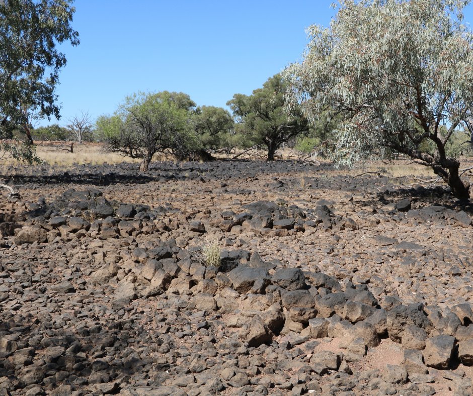 SQLandscapes's tweet photo. MARDIGAN FISH TRAPS π // #Mardigan man and Regional Agricultural Landcare Facilitator Jackson Shillingsworth took fire practitioners and Githabul men Robbie Williams and Uncle Rob from #FireLore to the Manu Manu Creek fish traps south of #Quilpie. https://t.co/9rsyffNoNn