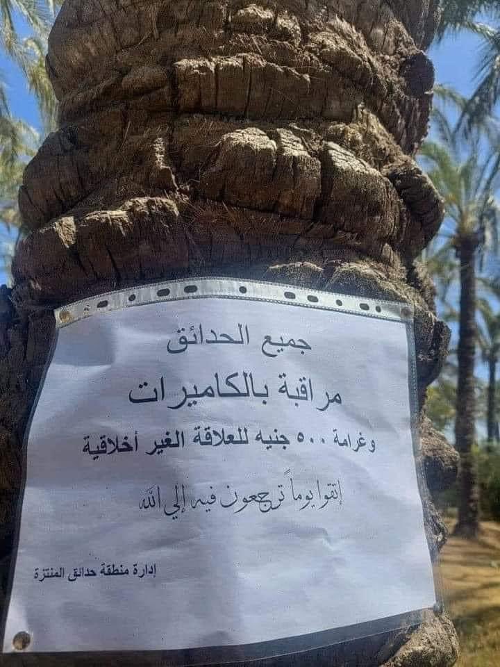 اسكندرية - Alexandria tweet media