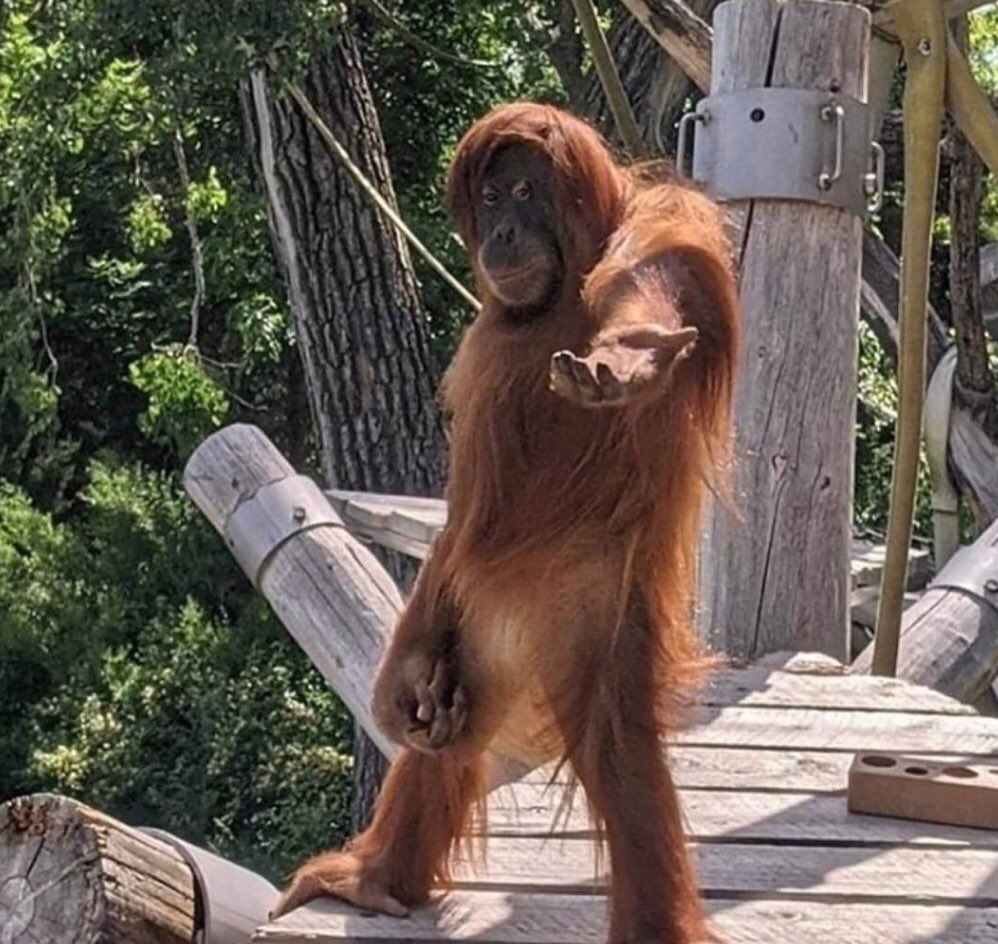 insane poses (@insaneposes) on Twitter photo 