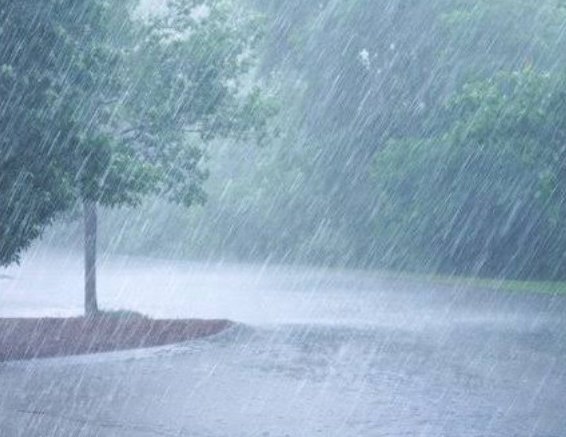 Femtouchng's tweet photo. IDAN in the shower whenever you experience heavy rainfall. 

#idangangan 
#idanshower
#idan https://t.co/Lped5n4kzs