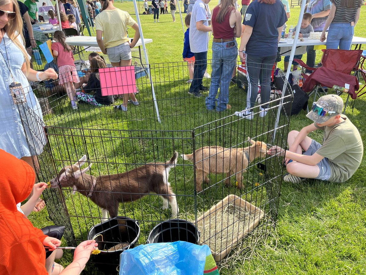 aparkermcs's tweet photo. AG day at MES! 🐐🐴🐓🐄🚜🧡🖤 https://t.co/Hxe6IfJjJn