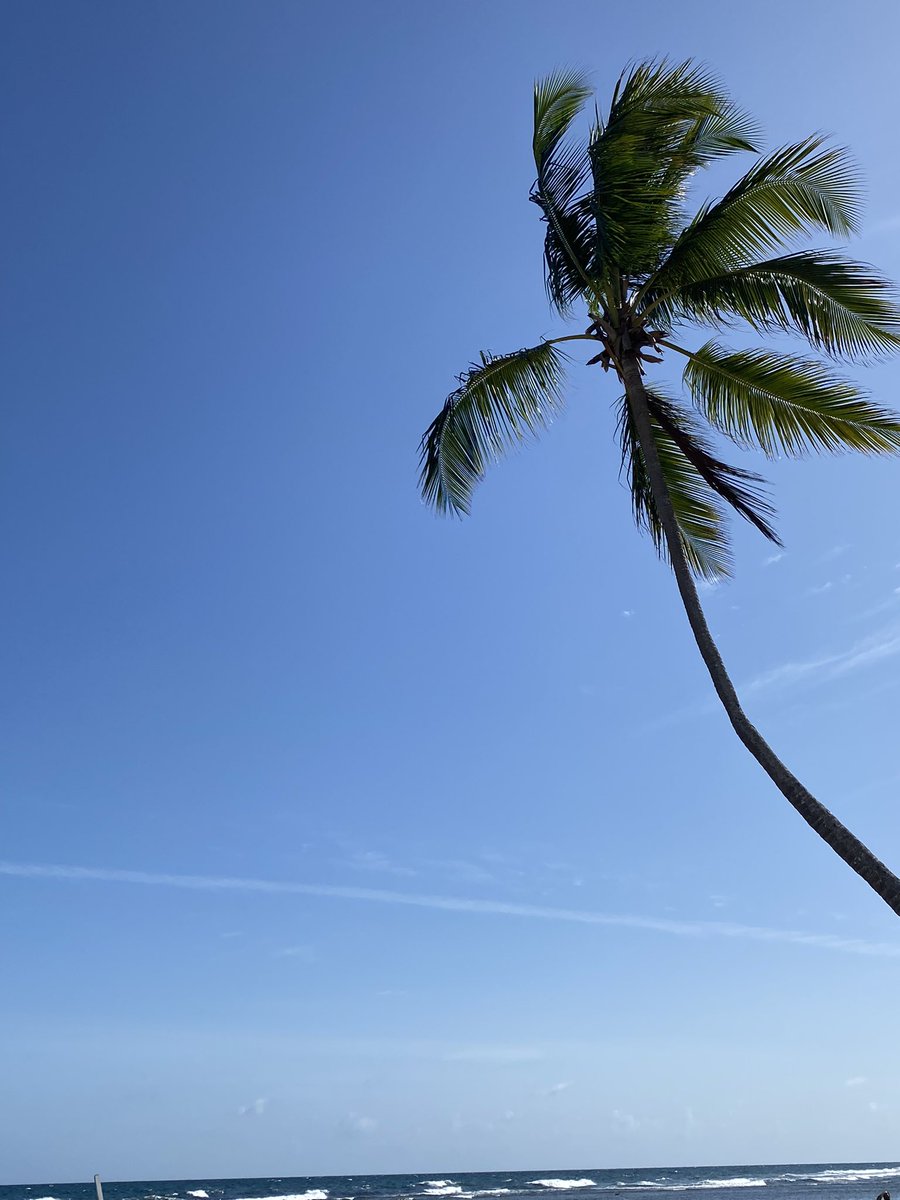 Vibes 🌴
