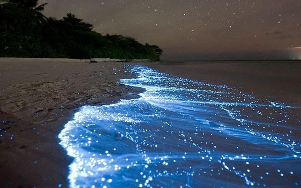 Unveiling the Mystical Glow-in-the-Dark Beaches: A Beach Lover's Adventure

tazaakhabar.in/unveiling-the-…

#ShimmeringBeaches #GlowInTheDarkPhenomenon #BetalbatimBeach #BangaramBeach #JuhuBeach #HavelockIslandBeaches #MattuBeach #ThiruvanmiyurBeach #Bioluminescence #Turquoise