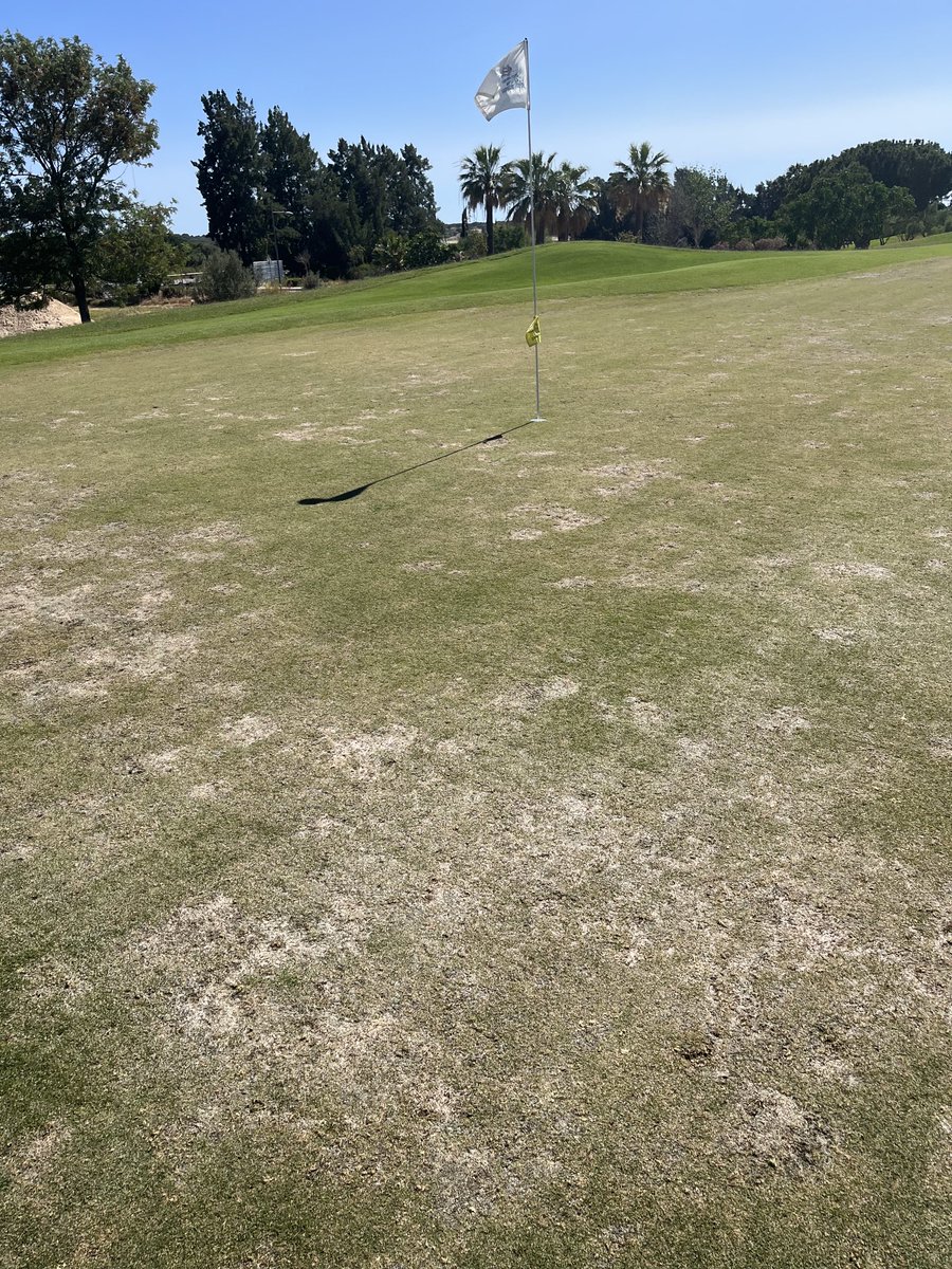 Andy Cook tweet media