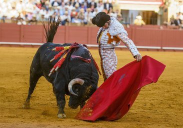 mst1953's tweet photo. Propuesta de carteles de toros para el 2024 para #LosMaestrantes o no?
@AbeInfanzon @isanchezmejias
📸 de #Calcada
#GrandeMorante https://t.co/YHWhgZxldC
