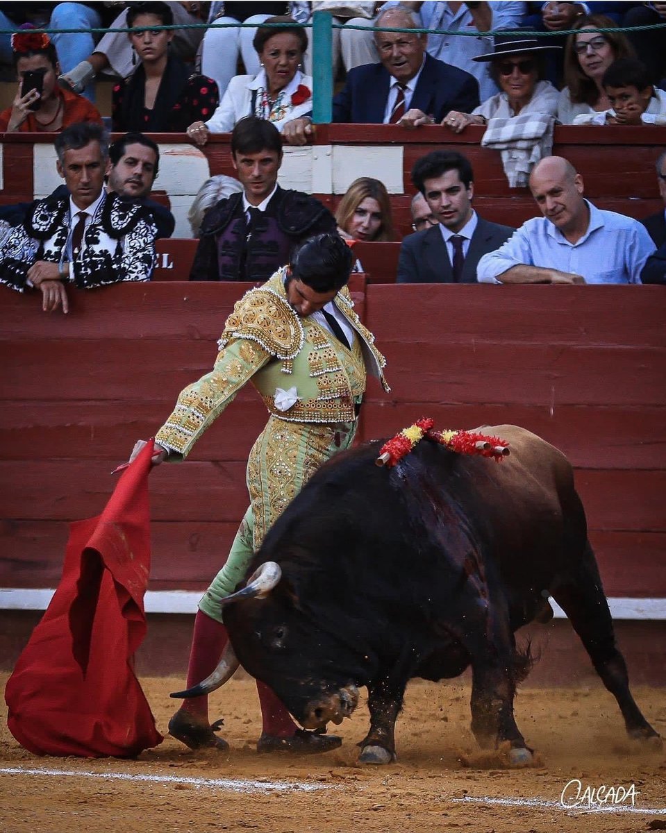 mst1953's tweet photo. Propuesta de carteles de toros para el 2024 para #LosMaestrantes o no?
@AbeInfanzon @isanchezmejias
📸 de #Calcada
#GrandeMorante https://t.co/YHWhgZxldC