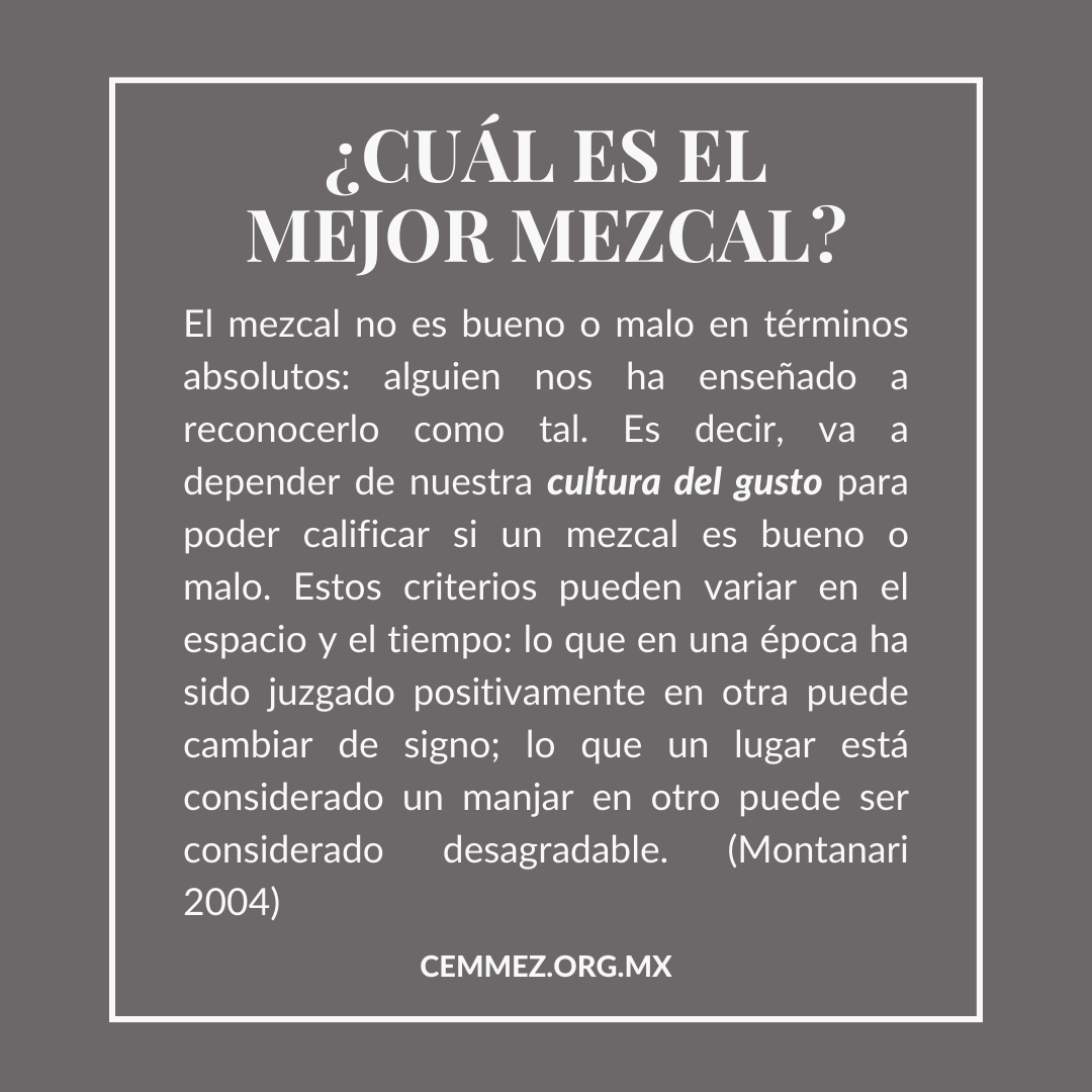 Cemmez_'s tweet photo. ¿Cuál es el mejor mezcal?

#mezcal #maguey #agave #culturadelmezcal #destiladosmexicanos #cemmez https://t.co/IhiSNDwE4C