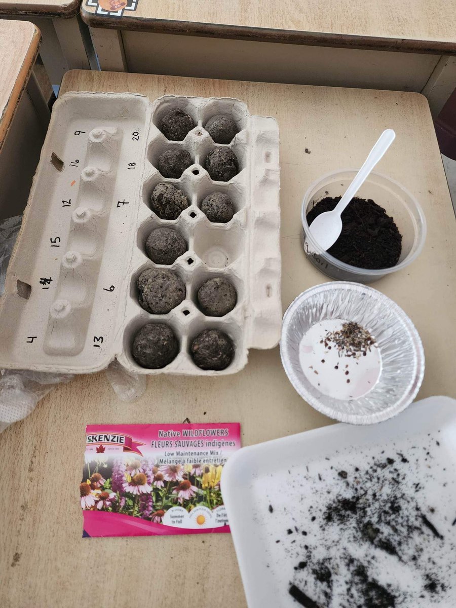 Thank you @EnviroTaylor and @SEPSciCen for the engaging lesson followed by our seed ball activity. Once the Ss got over the idea of making clay with kitty litter they rolled their seeds with excitement. Can’t wait to see what happens! @qesarnia