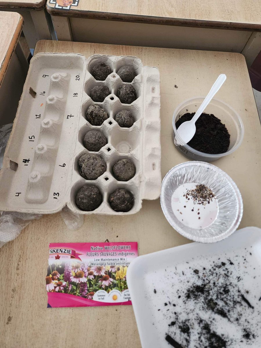 Thank you <a href="/EnviroTaylor/">Taylor Maris ♻️</a> and @SEPSciCen for the engaging lesson followed by our seed ball activity. Once the Ss got over the idea of making clay with kitty litter they rolled their seeds with excitement. Can’t wait to see what happens! <a href="/qesarnia/">@QESarnia</a>