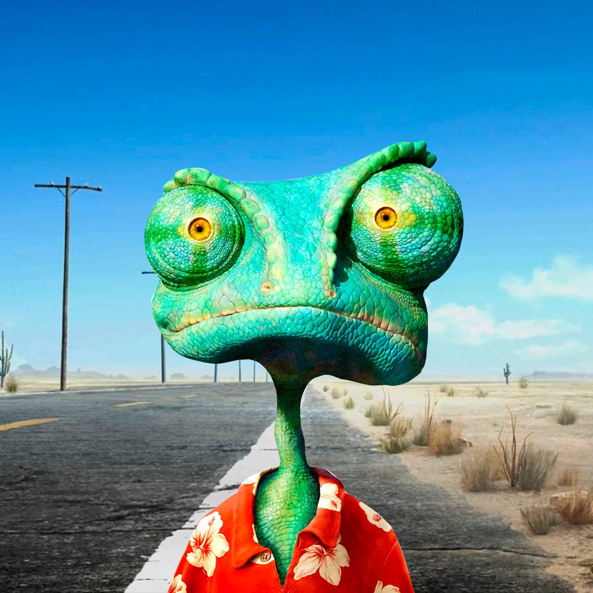 RANGO tweet media