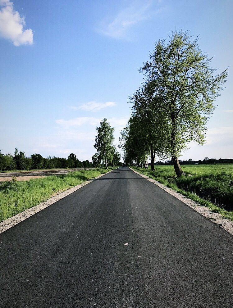 SieminskiTomek's tweet photo. Sobotni #cofferide 🚴👌 @HippooCycling #cycling https://t.co/TufgV0cxKv