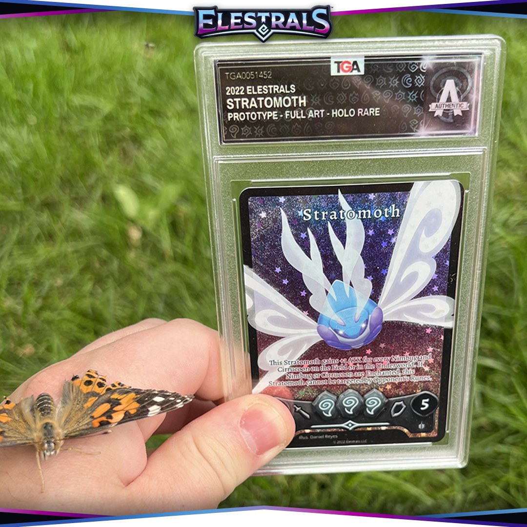 Elestrals's tweet photo. Our Cirrucoon have finally Ascended, and one of them wasn't ready to say goodbye just yet! π¦πͺοΈ
Thank you all for joining us on this journey! Tell us Casters, are you ready to get yourselves a Stratomoth? #Elestrals #Stratomoth #TCG https://t.co/zu4GEinUiK