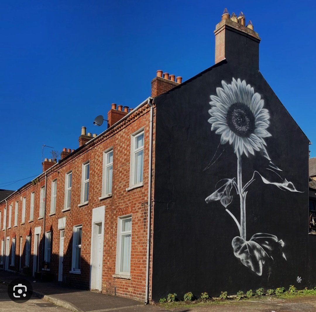 hayward_katy's tweet photo. 🌻🤩@emicartist #belfast #Holylands street art  #Eurovision2023 🇺🇦 https://t.co/NnXP7foRe5