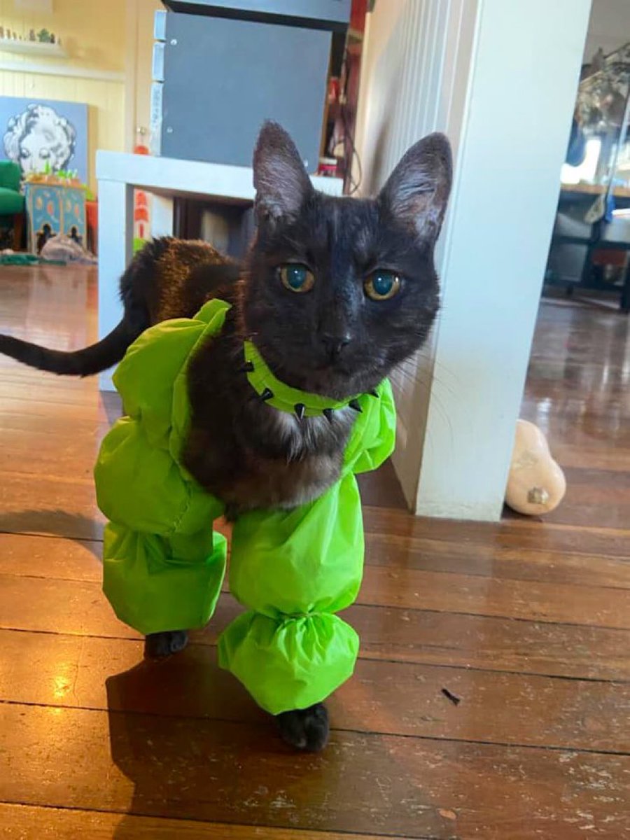 ramadan 🇦🇱 tweet media