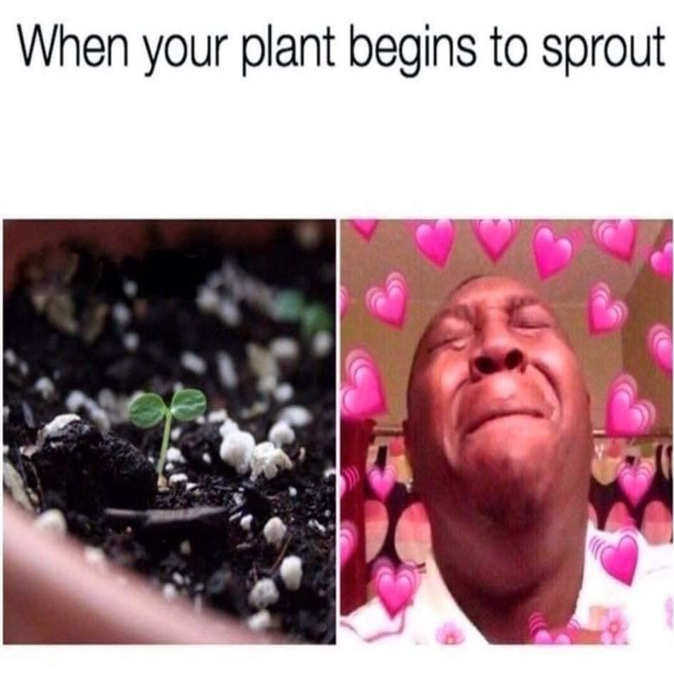 WholesomeMeme's tweet photo. https://t.co/RMMDnwKnK2
