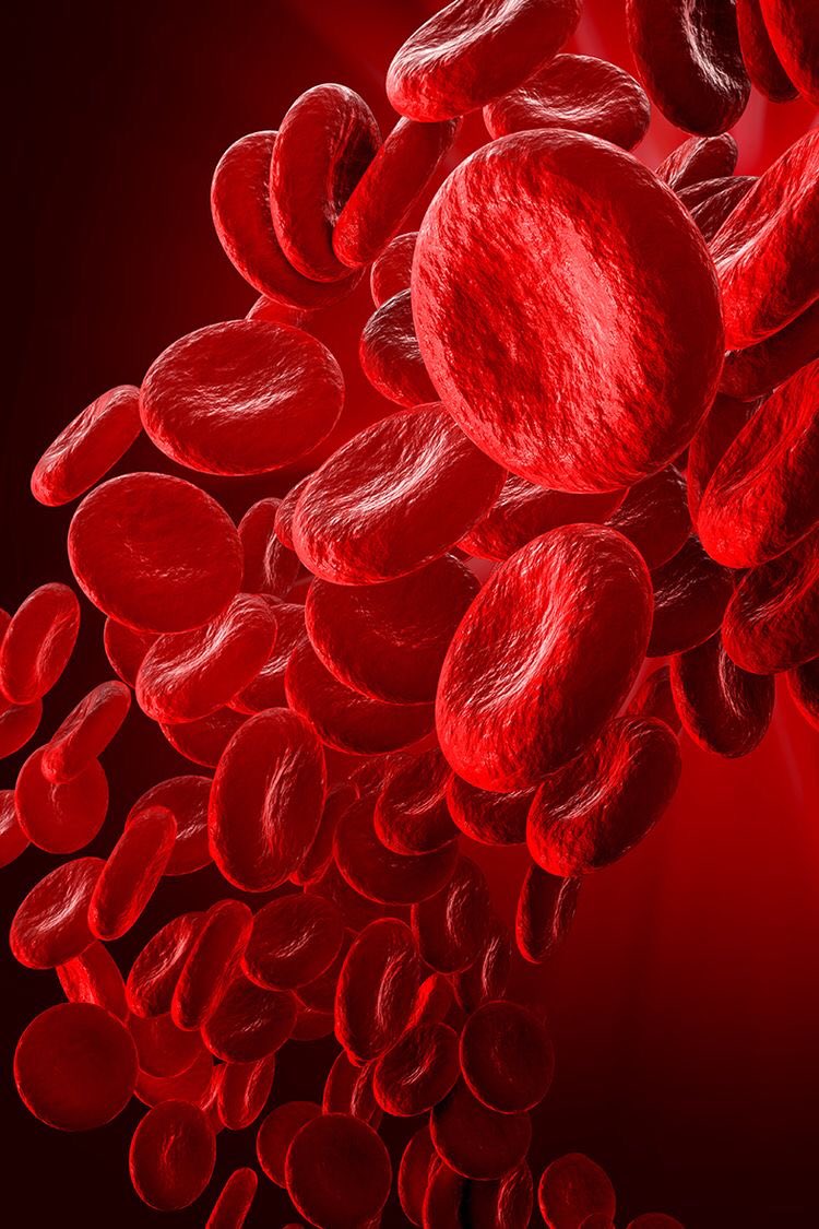 fresnel_destin's tweet photo. —————Thread n1🧵————- 
« Ton enfant est anémié, donne lui du fer, pas besoin d’aller voir un médecin »
ERREUR!⚠️
Ce thread vous explique pourquoi le fer n’est pas toujours la solution pour traiter une anémie chez un enfant! https://t.co/atQGgslVtM