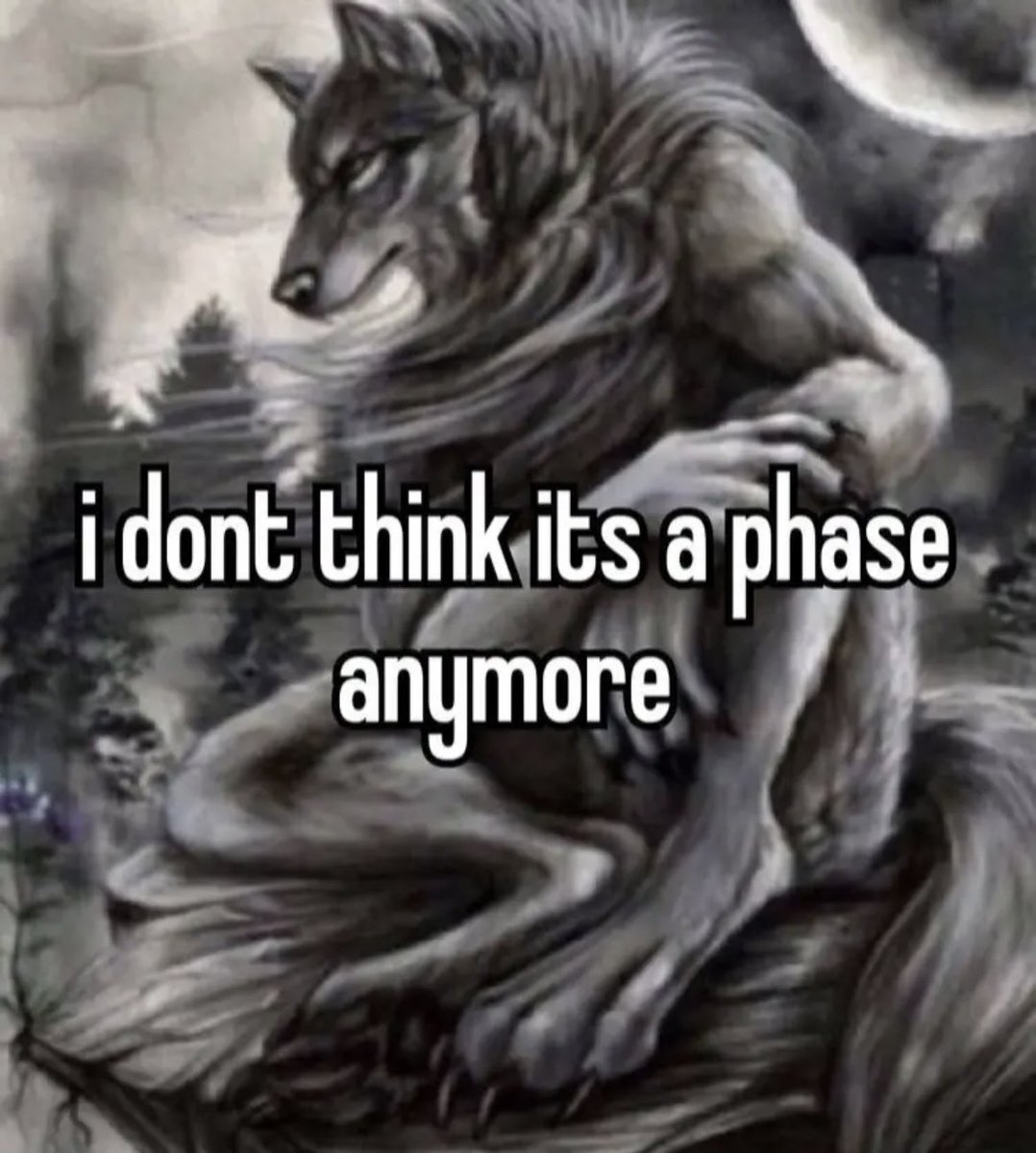 bajajnqnaian's tweet image. real