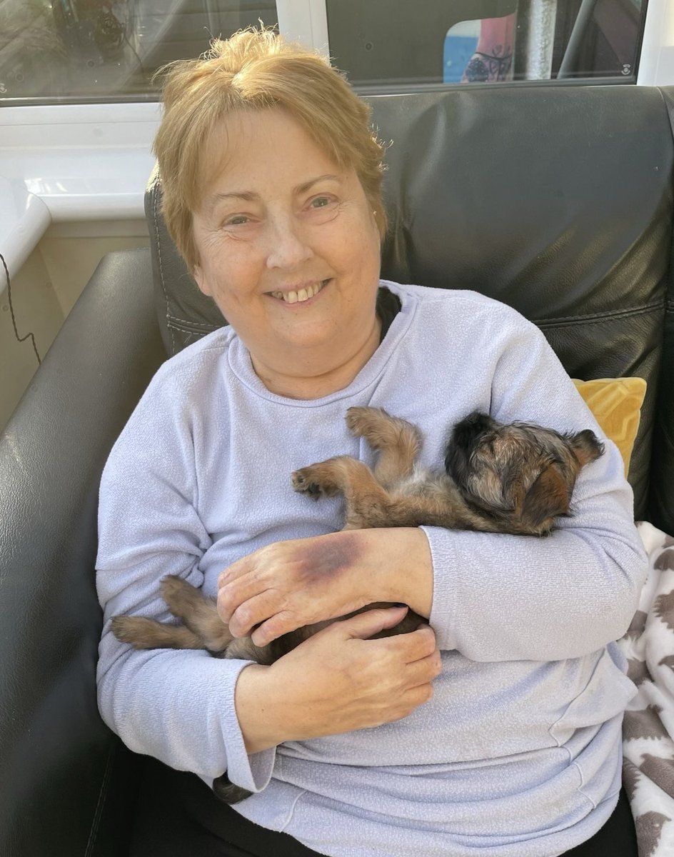 Clover ☘️ tweet media