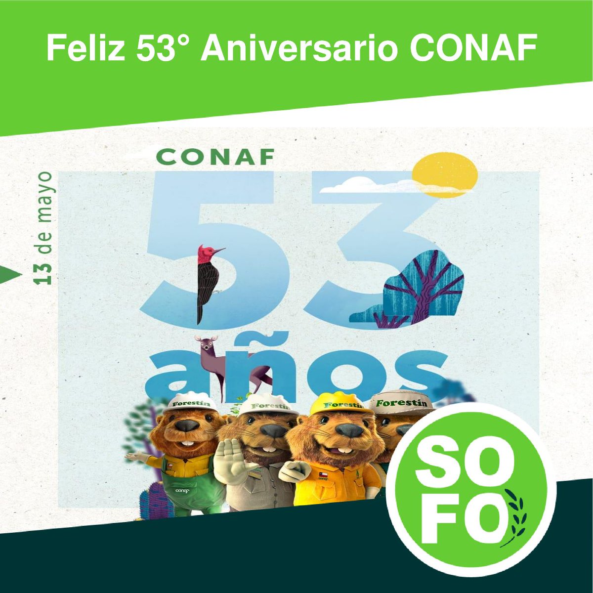 AraucaniaSofo's tweet photo. Saludamos con especial afecto a #Conaf en su 53° Aniversario 🎉
🤝Gracias por estar al servicio y protección de los bosques y de la vida silvestre. @conaf_araucania @conaf_minagri
#Bosques #Prevención #Campo #BrigadistasForestales #Temuco #TemucoGram #SurDechile #Malleco #Cautin https://t.co/SRtMk32isQ