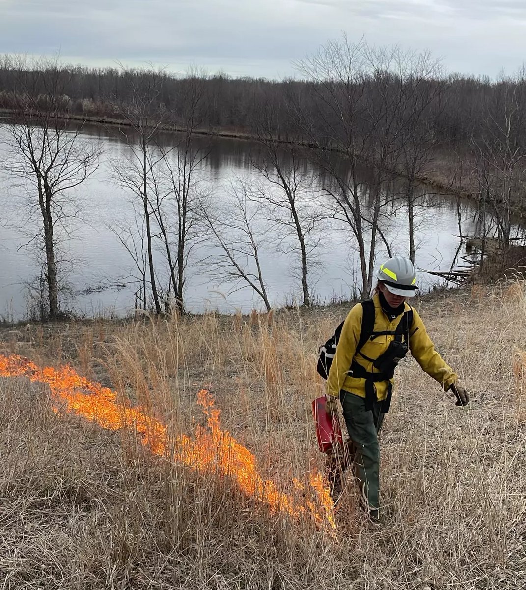 It's World Migratory Bird Day #WMBD2023 and #RxFire can benefit migratory birds. One biologist turned wildland firefighter at Big Oaks National Wildlife Refuge shares her story about using prescribed fire to protect birds and other species. fws.gov/story/it-start…