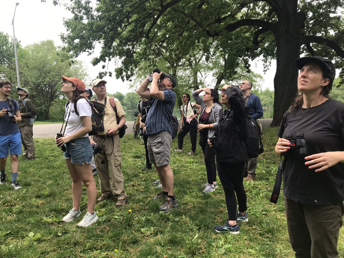 deepseagangster's tweet photo. The Timberdoodler Sat morn group is calling it @ 75 prospect species. I will donate $2 per bird in our name. I will also donate $25 dollars in the name of any team that gets a woodcock and $50 for piping plover. Let me know if you had em. #BkBigDay https://t.co/4oF6MdjLJm
