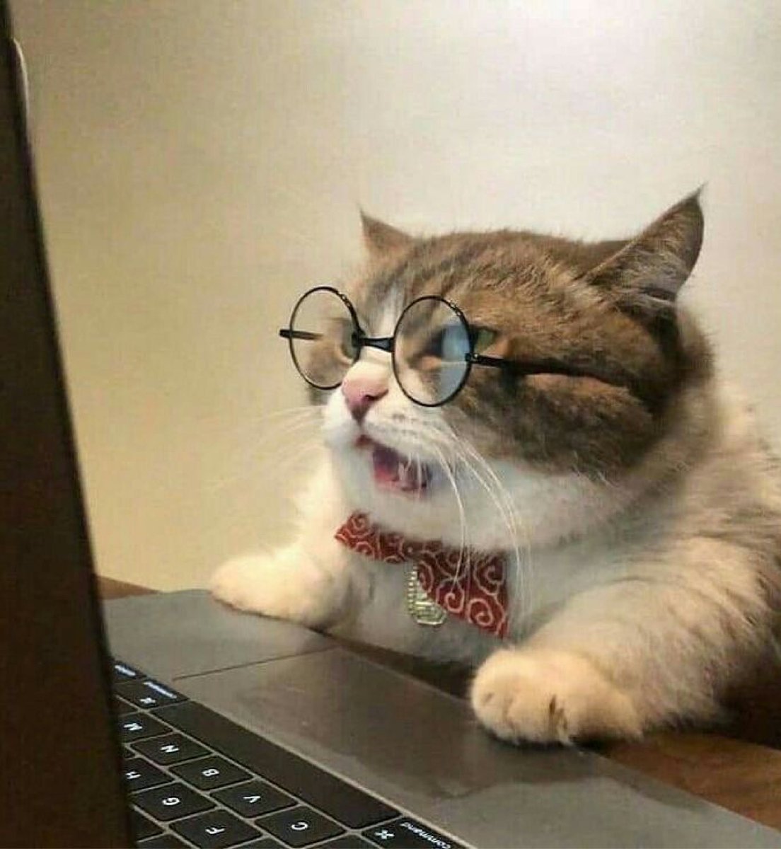kapebeansies's tweet photo. https://t.co/oUxGzB3d3i