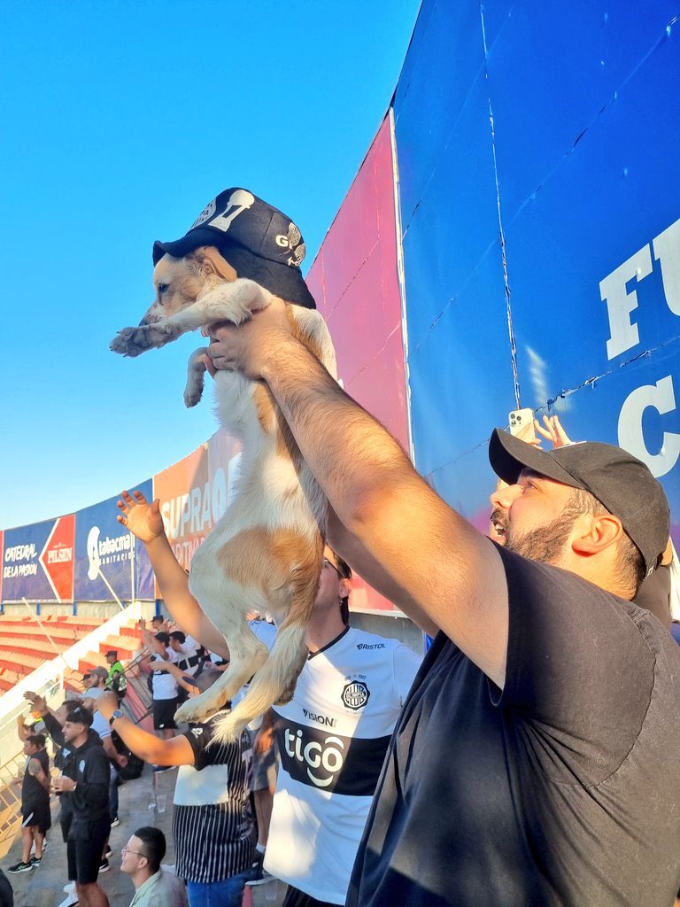 Out Of Context Football (@nocontextfooty) on Twitter photo 