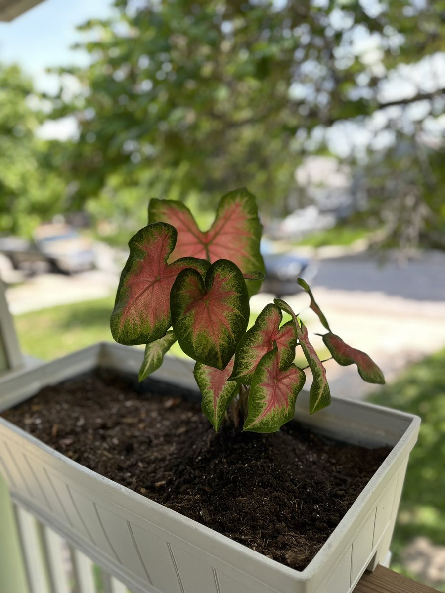 No better way to spend this Saturday than to garden!