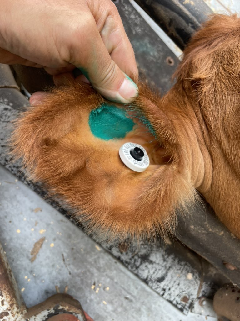 Jim Yance tweet media