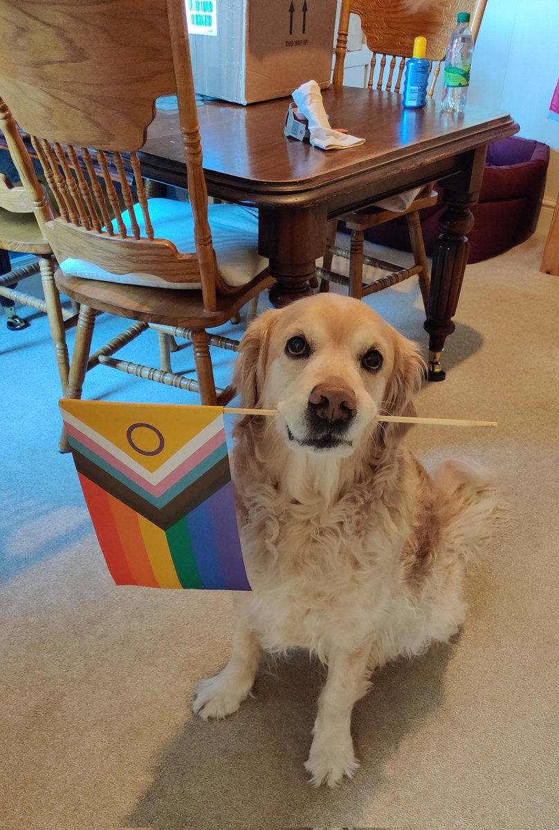 Bea is enjoying #Eurovision2023