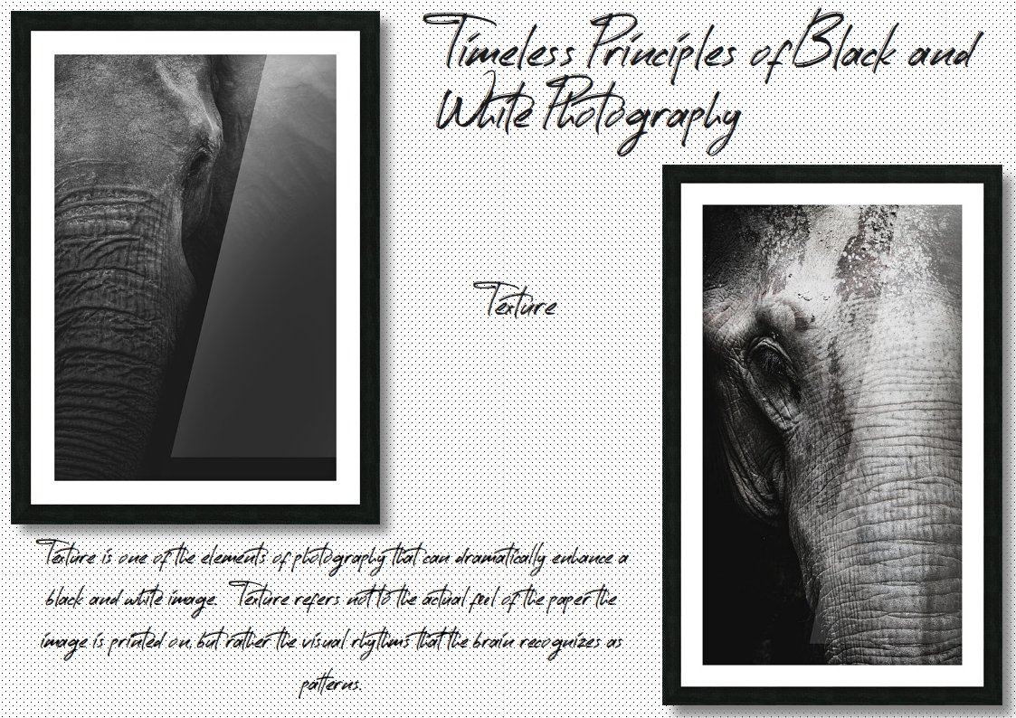 Prints available - DM Me

Texture is one of the elements of #photography that can dramatically enhance a #blackandwhitephoto Texture refers not to the actual feel of the paper the image is  printed on, but rather the visual rhythms that the brain recognizes as #patterns 
#photo