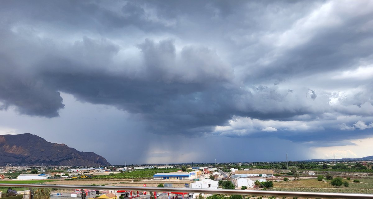 SGC 🇪🇸 tweet media