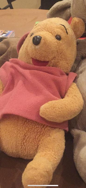 Lost: Left my teddy in my hotel r... | Courtyard London Gatwick Ai... | posts.whiteboomerang.com/lostteddy/msg/… #LostTeddy
