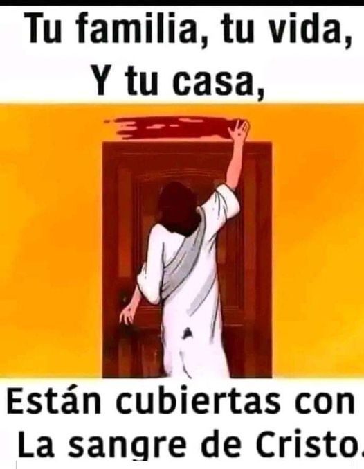 Salmos 91:14-16 
El SEÑOR dice: «Rescataré a los que me aman; protegeré a los que confían en mi nombre. Cuando me llamen, yo les responderé; estaré con ellos en medio de las dificultades. Los rescataré y los honraré. Los recompensaré con una larga vida y les daré mi salvación»