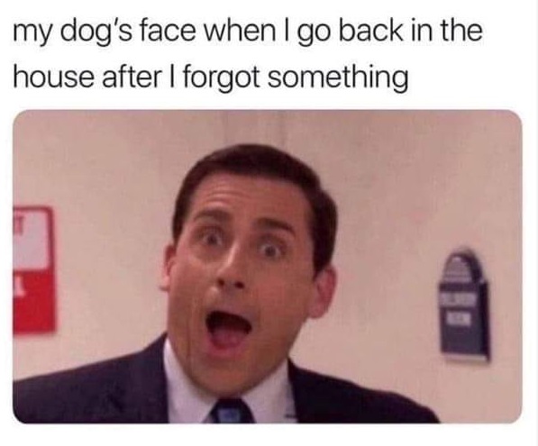 WholesomeMemes tweet media