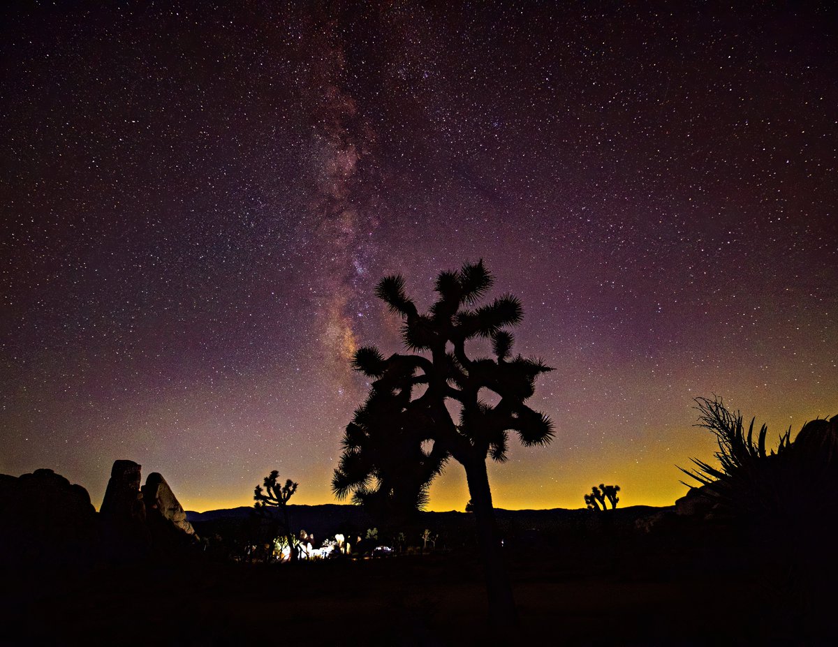 Luke Summerfield tweet media