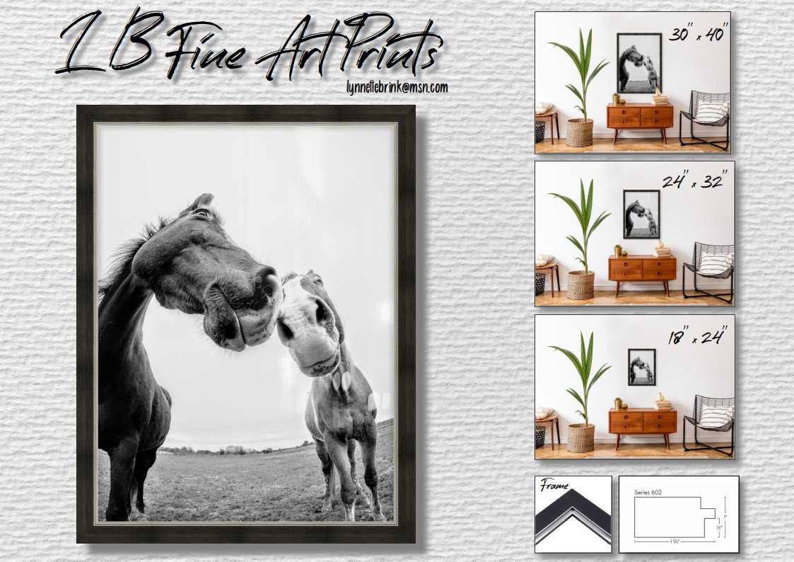 If you #love #horses you will love this!
Order your print now and get Free Delivery (in North America only) for the Month of May.
DM me 😃
#freedelivery #fineart #homedecor #PHOTOS
