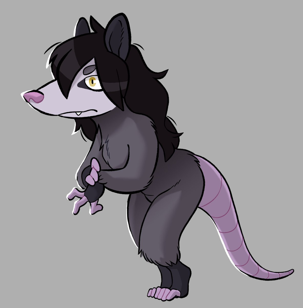 Mischievous Possum gal