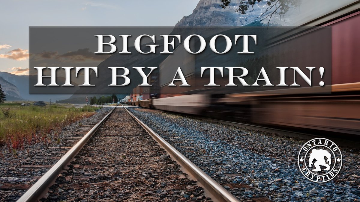 Don't miss this episode..... Bigfoot Hit By A Train! [EP-163] #cryptids #storytelling #encounter #sasquatch #bigfoot #bigfootsighting  youtu.be/vS1frRB0Y2Y
