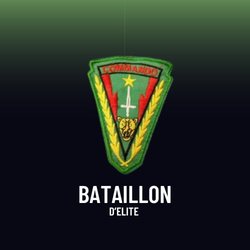 ChrisNyamabo's tweet photo. La RDC possède un vivier très riche de filles et fils bien formés ayant servit dans les meilleurs armées du monde. Nous pouvons vite organiser une équipe de ces jeunes prêts à venir former 3 bataillons des hommes prêts au combat, disciplinés et spécialisés dans divers métiers des armes au sein des FARDC.

Les enjeux de l’Est de la RDC nous imposent de penser autrement; à la place des mercenaires de l’Europe de l’Est qui ont déjà atteint le seuil de rendements décroissants après plus de 6 mois de déploiement. Nos jeunes gens sont prêts à venir former les congolais sur place, dans 3 mois nous pouvons mettre en place des bataillons plus efficace que le « bataillon jungle » formé au Gabon.

Nous invitons le Président de la république @fatshi13 à considérer cette option pour permettre aux FARDC de se doter des hommes de troupes aguerris en comptant sur les congolais d’abord pour palier au problème d’hommes qualifiés au sein de nos rangs. @Presidence_RDC @LukondeSama @bembajp