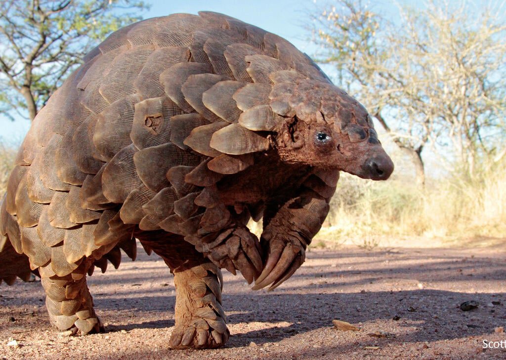 Sweden beating the Cabbage Worm. Unforgivable. #Eurovision2023