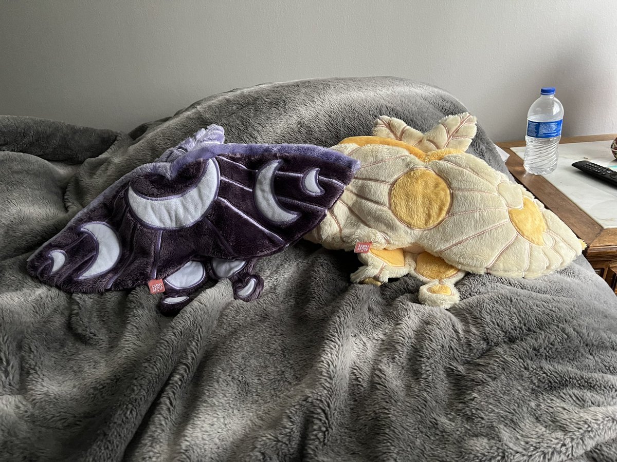 stoned_0racle's tweet photo. They finally came!! Love these babies 💕🌙☀️#fluffnest #puffpals https://t.co/xMugfEp2rC