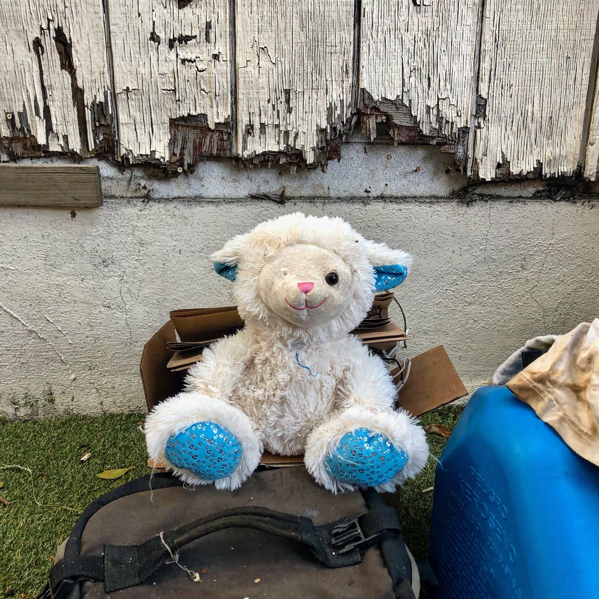 Pleasant Gehman tweet media