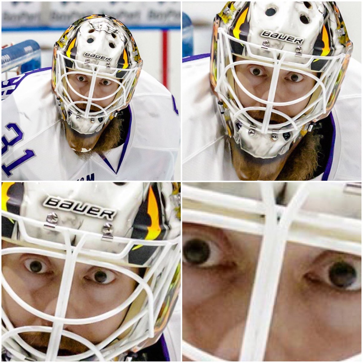 Mark Dekanich tweet media