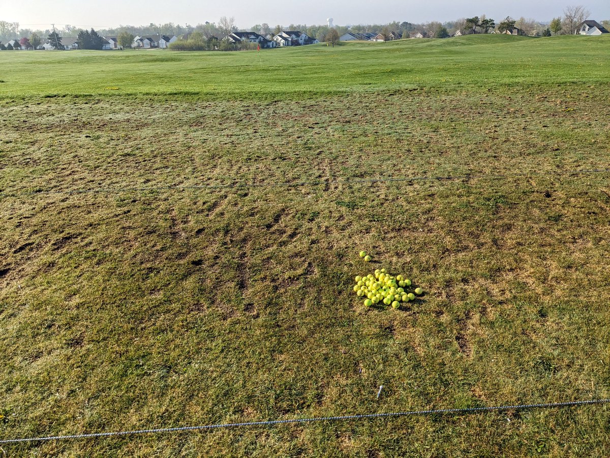 Jake Weaver tweet media