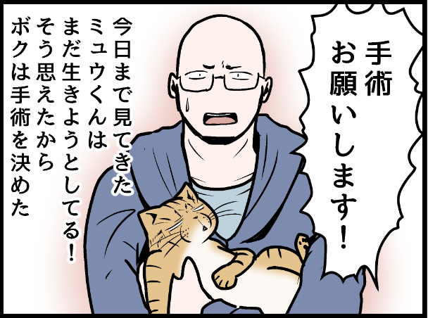 ミュウくんの検査の結果をみて決心したのです。  covovoy.blog.jpからまだ未公開の最新話を読むことができます!   #ニャンコ #まんが #猫 #猫あるある #猫漫画 #ペット #飼い主 #エッセイ漫画 #キャット #猫のいる暮らし