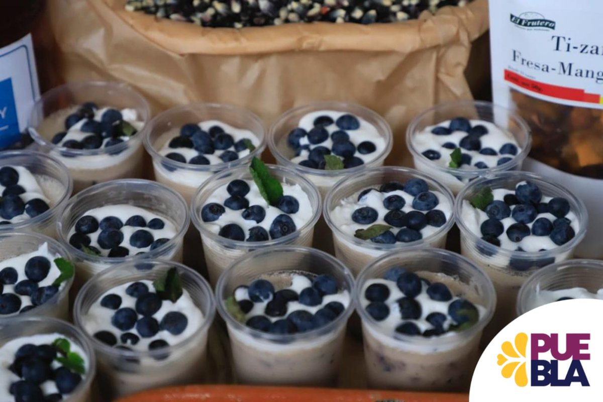 TuristicoGobPue's tweet photo. En el Pueblo Mágico de #Zacatlán, la secretaria @Marta_OrnelasG dió el banderazo de inicio de la #BlueRuta, la temporada de corte de berries que más de 300 productores y prestadores de servicios han convertido en gratas experiencias para turistas y visitantes
#TienesGanasDePuebla https://t.co/jEsle0jyUG